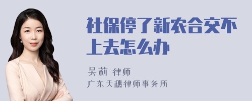 社保停了新农合交不上去怎么办