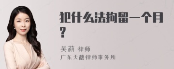 犯什么法拘留一个月?