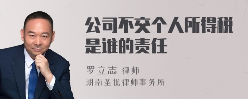 公司不交个人所得税是谁的责任