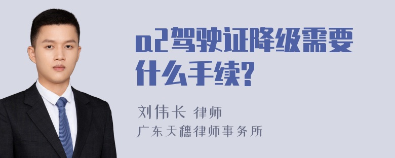 a2驾驶证降级需要什么手续?