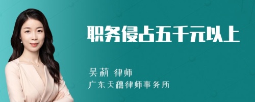 职务侵占五千元以上