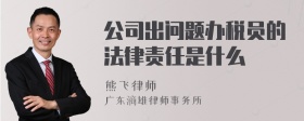 公司出问题办税员的法律责任是什么