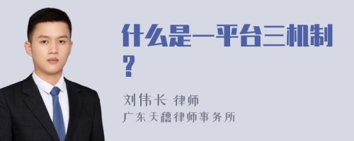 什么是一平台三机制？