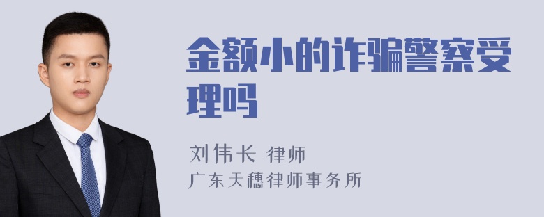 金额小的诈骗警察受理吗