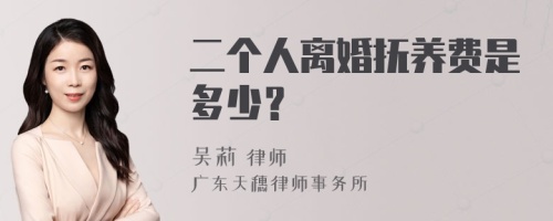 二个人离婚抚养费是多少？