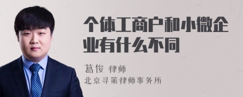 个体工商户和小微企业有什么不同