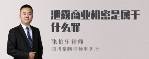 泄露商业机密是属于什么罪