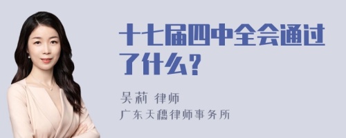 十七届四中全会通过了什么？