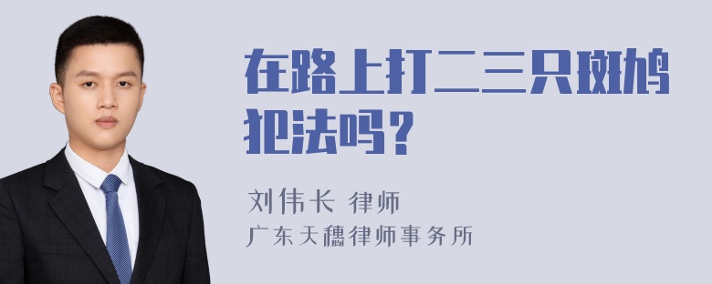 在路上打二三只斑鸠犯法吗？