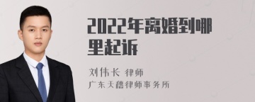 2022年离婚到哪里起诉