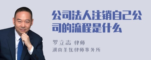 公司法人注销自己公司的流程是什么