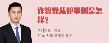 诈骗罪从犯量刑是怎样?