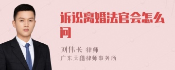 诉讼离婚法官会怎么问