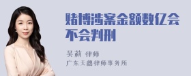 赌博涉案金额数亿会不会判刑