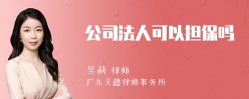 公司法人可以担保吗