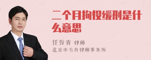 二个月拘役缓刑是什么意思