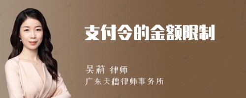 支付令的金额限制