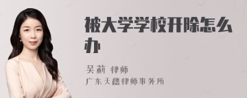 被大学学校开除怎么办