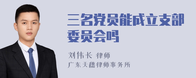 三名党员能成立支部委员会吗