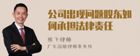 公司出现问题股东如何承担法律责任