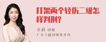 打架两个轻伤二级怎样判刑?