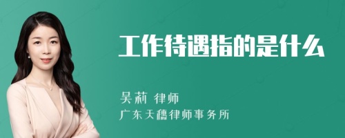 工作待遇指的是什么