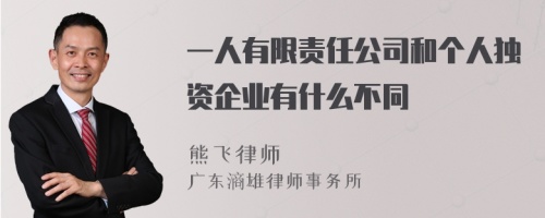 一人有限责任公司和个人独资企业有什么不同