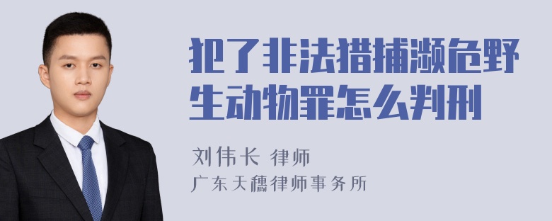 犯了非法猎捕濒危野生动物罪怎么判刑