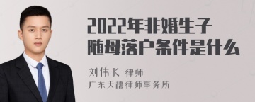 2022年非婚生子随母落户条件是什么