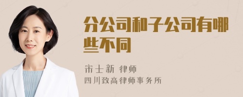 分公司和子公司有哪些不同