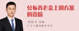 公布养老金上调方案的省份