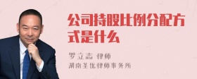 公司持股比例分配方式是什么