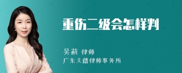 重伤二级会怎样判