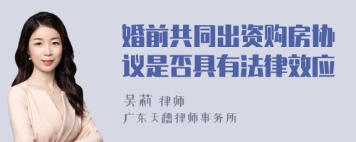 婚前共同出资购房协议是否具有法律效应