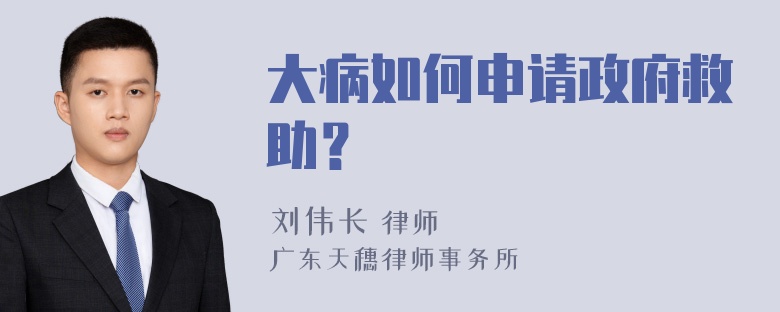 大病如何申请政府救助？