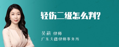 轻伤二级怎么判?