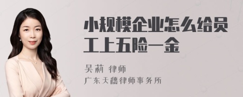 小规模企业怎么给员工上五险一金