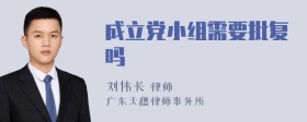 成立党小组需要批复吗