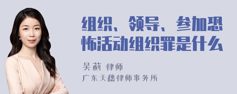 组织、领导、参加恐怖活动组织罪是什么