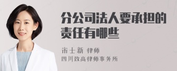 分公司法人要承担的责任有哪些