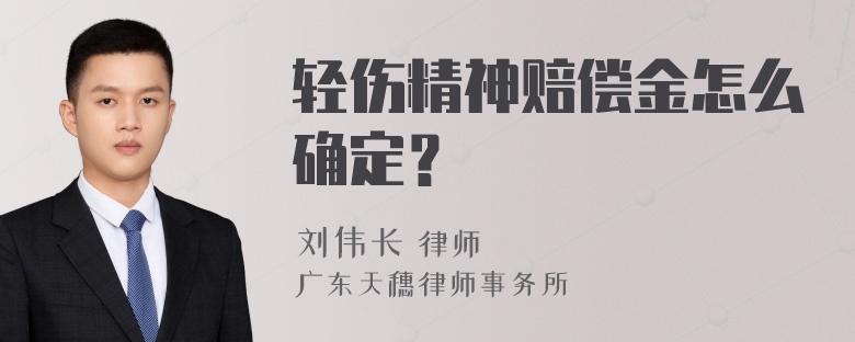 轻伤精神赔偿金怎么确定？