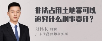 非法占用土地罪可以追究什么刑事责任？