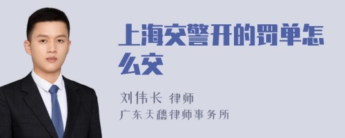 上海交警开的罚单怎么交