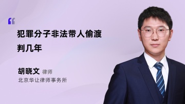 犯罪分子非法带人偷渡判几年