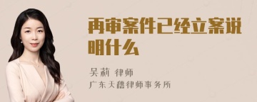 再审案件已经立案说明什么