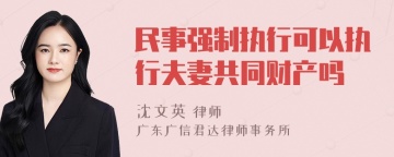 民事强制执行可以执行夫妻共同财产吗