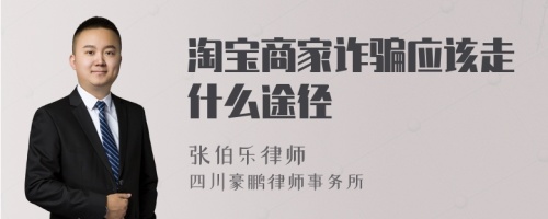 淘宝商家诈骗应该走什么途径