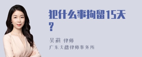 犯什么事拘留15天?