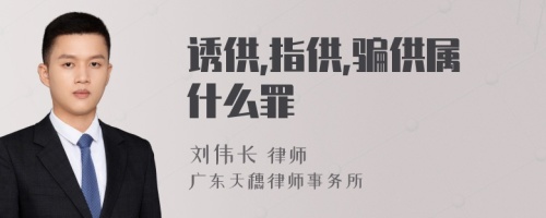 诱供,指供,骗供属什么罪