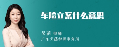 车险立案什么意思